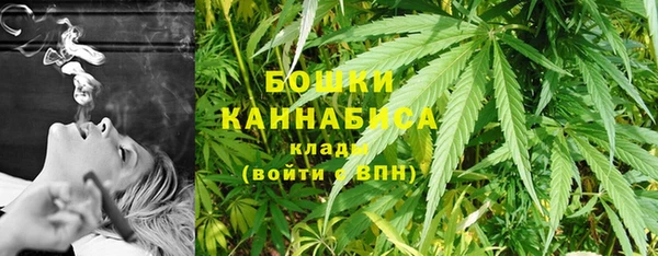 Альфа ПВП Ельня