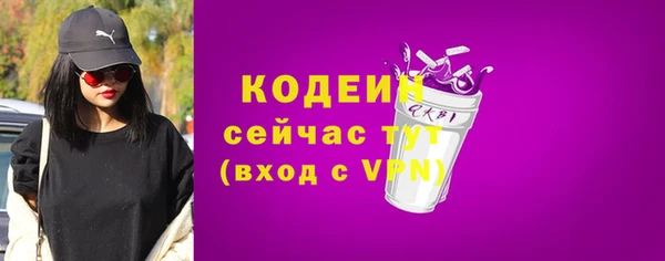Альфа ПВП Ельня