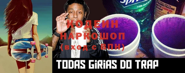 Альфа ПВП Ельня