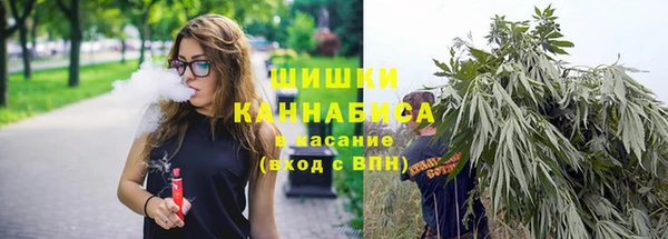 Альфа ПВП Ельня