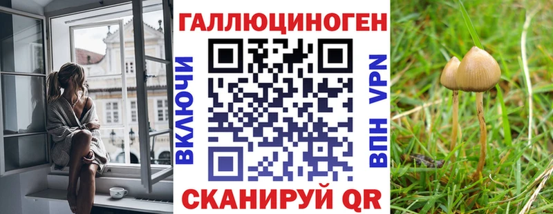 Псилоцибиновые грибы Cubensis  МЕГА зеркало  Кадников 